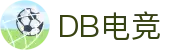 DB电竞(DBGame)官方网站-华语电竞行业引领者